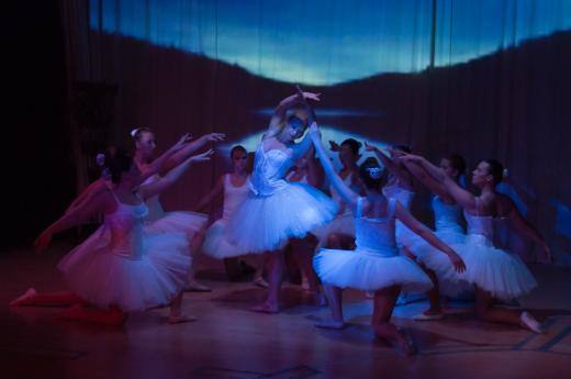 Schwanensee 15102011 087