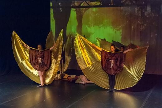 HG Prem 14 11 2015 047