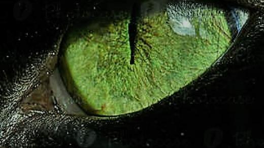 is