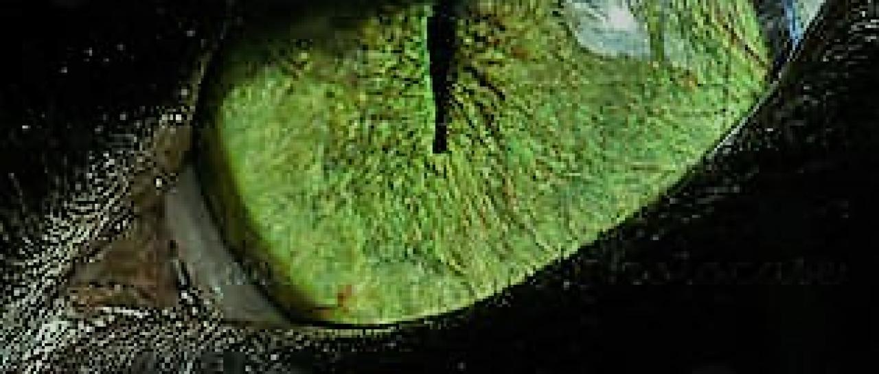 is